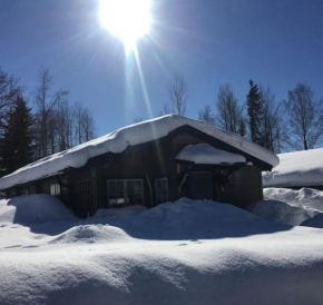 StugaNäraKungsberget - mysig stuga med kamin, grillkåta och vedbastu Ockelbo